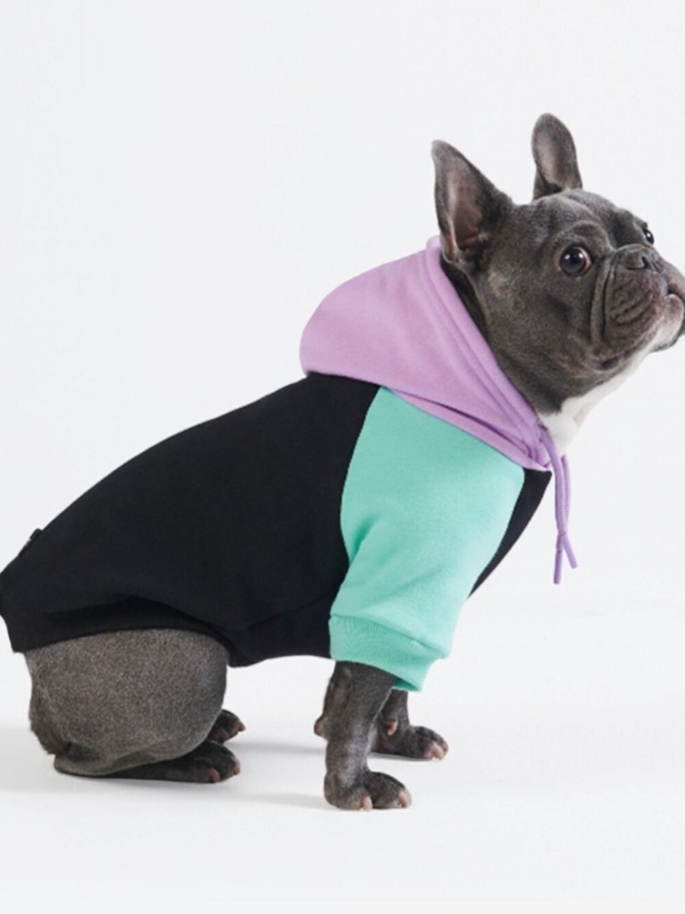 Spark Paws Dog Hoodie, Size 2XL for French Bulldogs, Puppies, Cyber Punk, NWT